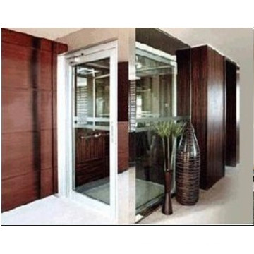 Small Home Elevator with Low Cost in China